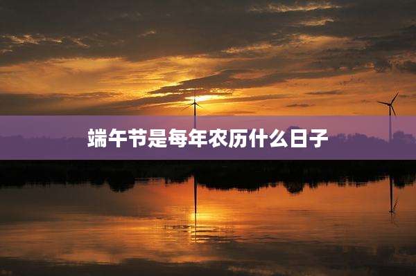 端午节是每年农历什么日子
