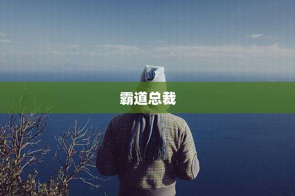 霸道总裁