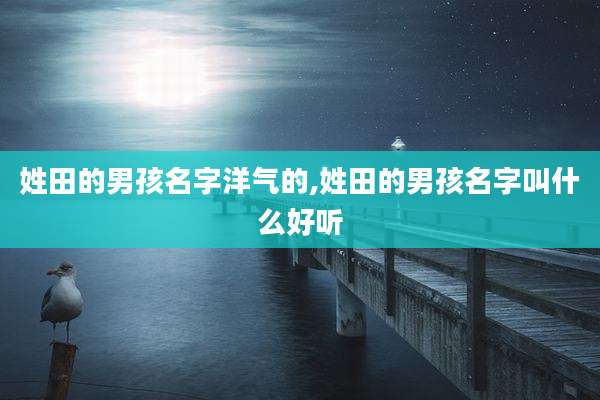 姓田的男孩名字洋气的,姓田的男孩名字叫什么好听