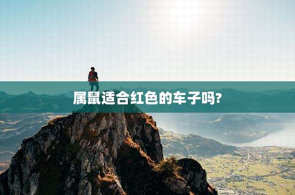 属鼠适合红色的车子吗?