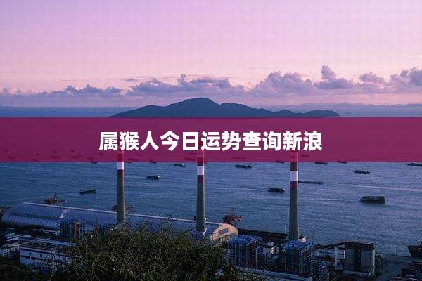 属猴人今日运势查询新浪