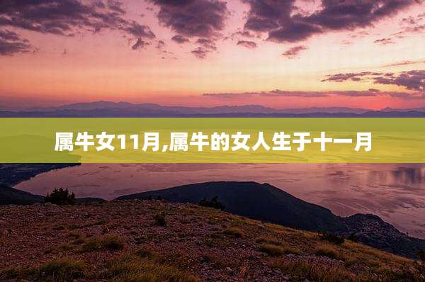 属牛女11月,属牛的女人生于十一月