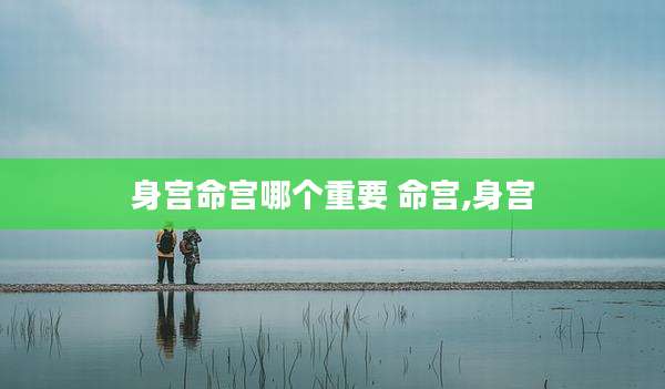 身宫命宫哪个重要 命宫,身宫