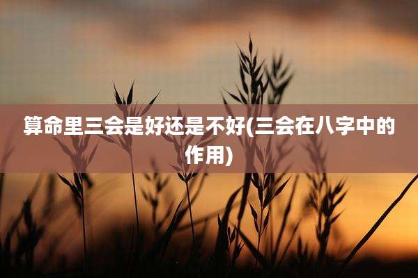 算命里三会是好还是不好(三会在八字中的作用)