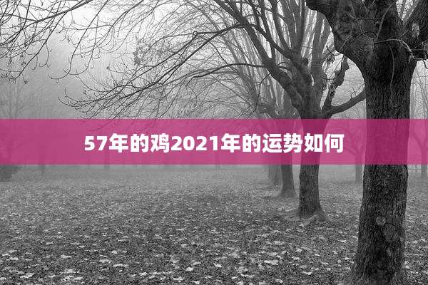 57年的鸡2021年的运势如何