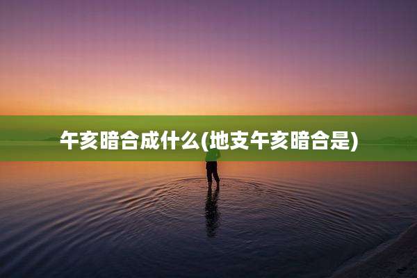 午亥暗合成什么(地支午亥暗合是)