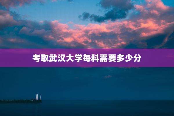 考取武汉大学每科需要多少分
