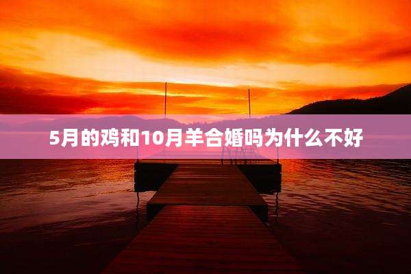 5月的鸡和10月羊合婚吗为什么不好