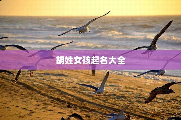 胡姓女孩起名大全