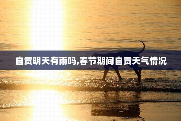自贡明天有雨吗,春节期间自贡天气情况