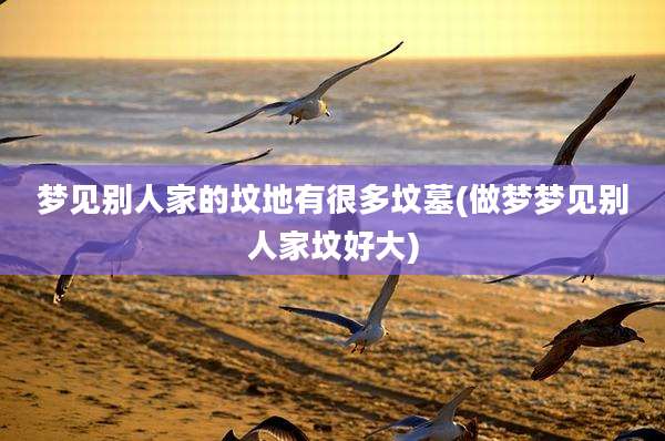 梦见别人家的坟地有很多坟墓(做梦梦见别人家坟好大)