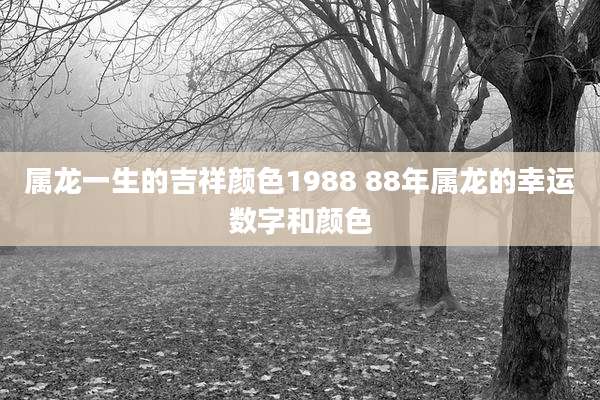 属龙一生的吉祥颜色1988 88年属龙的幸运数字和颜色