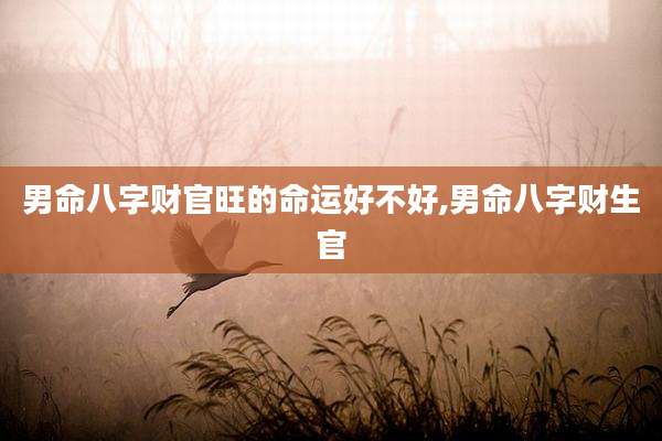 男命八字财官旺的命运好不好,男命八字财生官