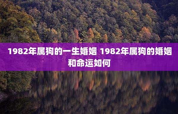 1982年属狗的一生婚姻 1982年属狗的婚姻和命运如何