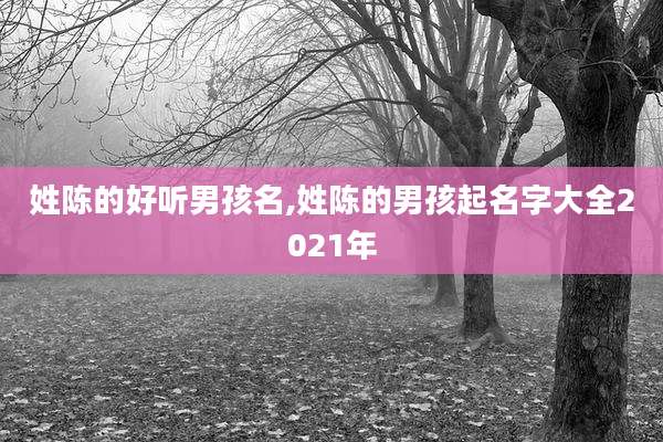 姓陈的好听男孩名,姓陈的男孩起名字大全2021年