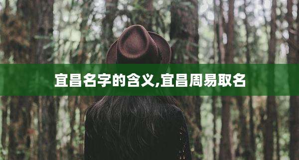宜昌名字的含义,宜昌周易取名