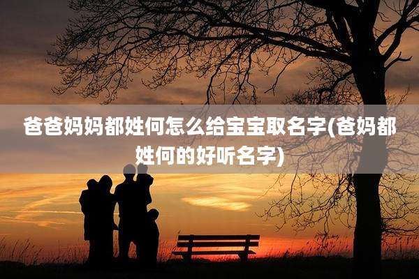 爸爸妈妈都姓何怎么给宝宝取名字(爸妈都姓何的好听名字)