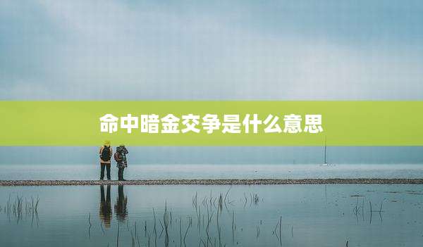 命中暗金交争是什么意思