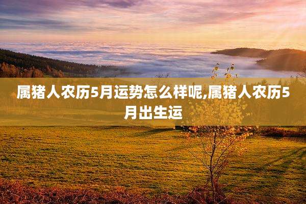 属猪人农历5月运势怎么样呢,属猪人农历5月出生运