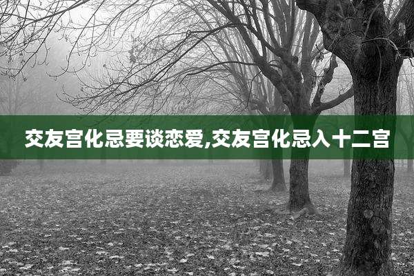 交友宫化忌要谈恋爱,交友宫化忌入十二宫