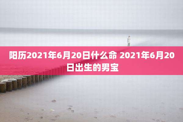 阳历2021年6月20日什么命 2021年6月20日出生的男宝