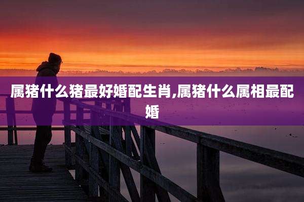 属猪什么猪最好婚配生肖,属猪什么属相最配婚