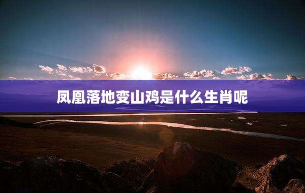 凤凰落地变山鸡是什么生肖呢