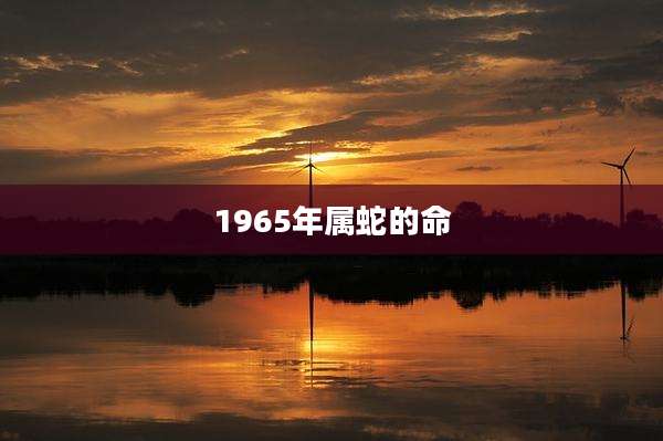 1965年属蛇的命