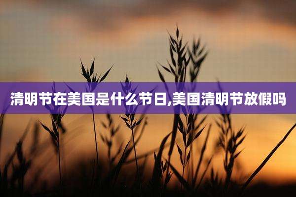清明节在美国是什么节日,美国清明节放假吗
