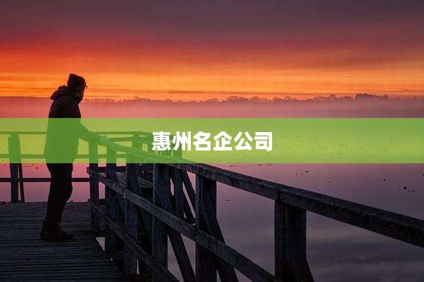 惠州名企公司