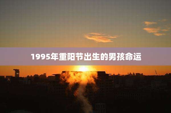 1995年重阳节出生的男孩命运