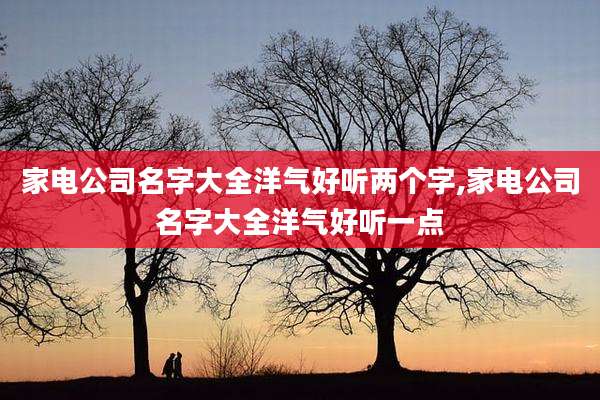 家电公司名字大全洋气好听两个字,家电公司名字大全洋气好听一点