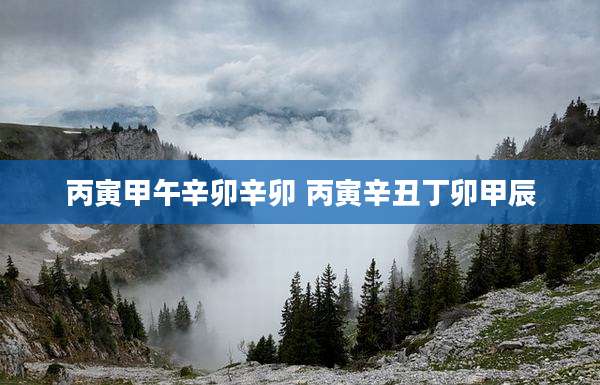 丙寅甲午辛卯辛卯 丙寅辛丑丁卯甲辰