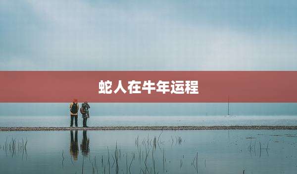 蛇人在牛年运程