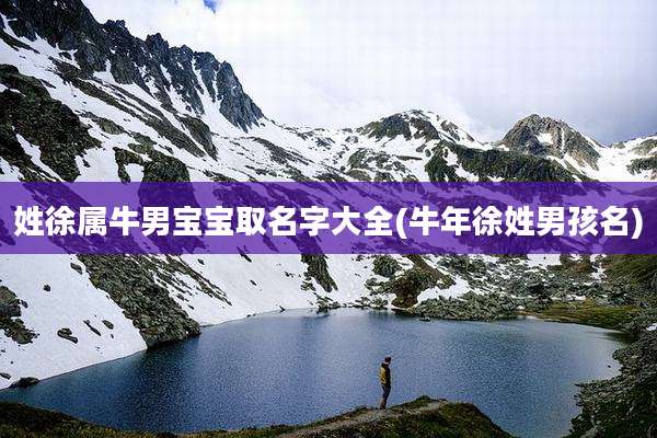 姓徐属牛男宝宝取名字大全(牛年徐姓男孩名)