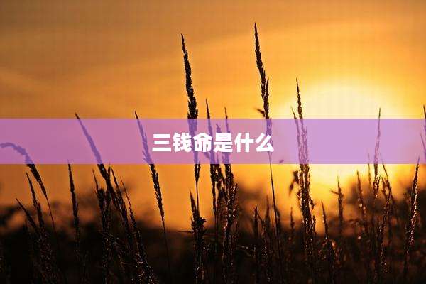 三钱命是什么