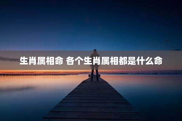 生肖属相命 各个生肖属相都是什么命
