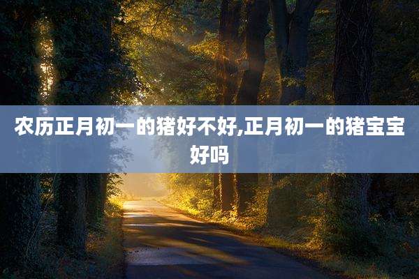 农历正月初一的猪好不好,正月初一的猪宝宝好吗