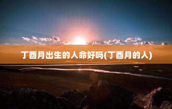 丁酉月出生的人命好吗(丁酉月的人)