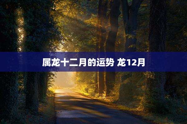 属龙十二月的运势 龙12月