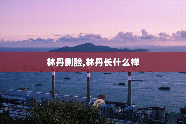 林丹侧脸,林丹长什么样