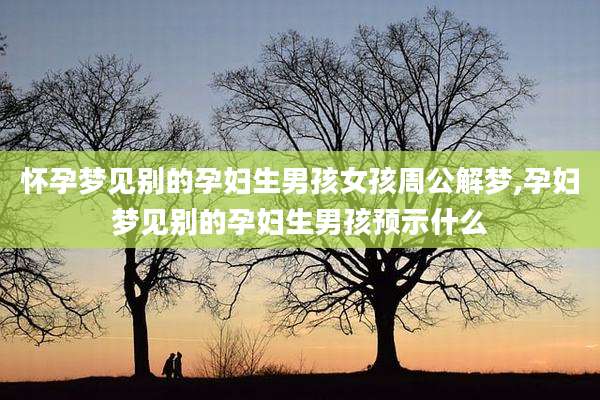 怀孕梦见别的孕妇生男孩女孩周公解梦,孕妇梦见别的孕妇生男孩预示什么
