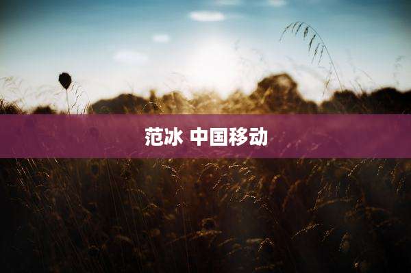 范冰 中国移动