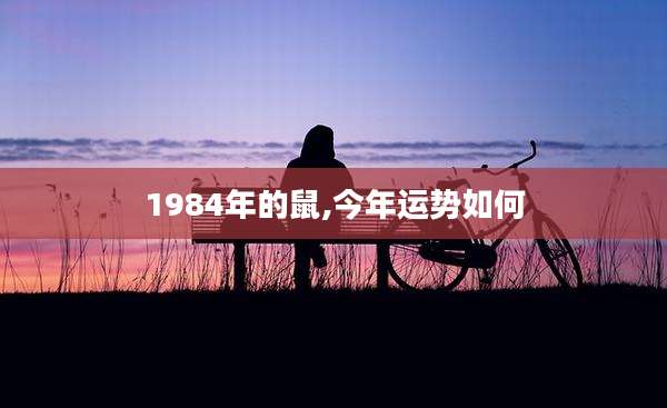 1984年的鼠,今年运势如何