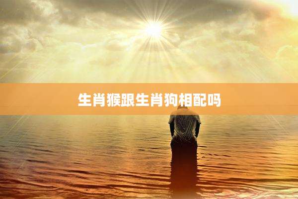 生肖猴跟生肖狗相配吗