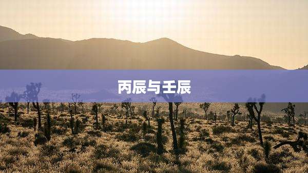 丙辰与壬辰