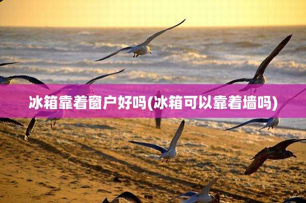 冰箱靠着窗户好吗(冰箱可以靠着墙吗)
