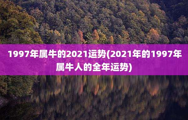 1997年属牛的2021运势(2021年的1997年属牛人的全年运势)