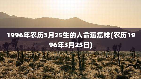 1996年农历3月25生的人命运怎样(农历1996年3月25日)