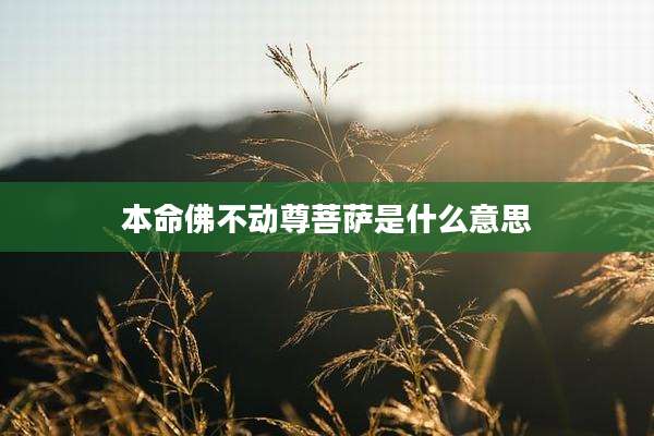 本命佛不动尊菩萨是什么意思